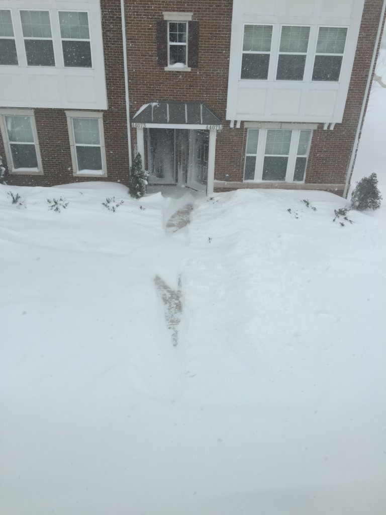 sidewalk shoveled and recovered by blizzard 2016