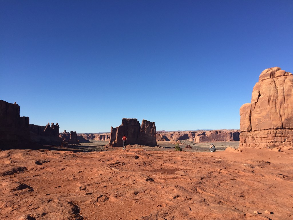 beautiful red rocks in arches national park